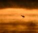 sunrise 9750192 1280